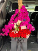 Phalaenopsis Box